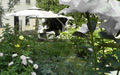 Giardino in bianco sui colli romani