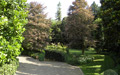 Giardino in bianco sui colli romani