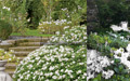 Giardino in bianco sui colli romani