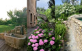 Emozioni della Provenza sulle rive del Garda