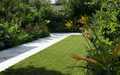 Giardino in Costa Azzurra