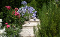 Giardino in Costa Azzurra