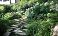 Giardino in Costa Azzurra