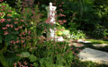 Giardino in Costa Azzurra
