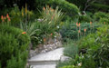Giardino in Costa Azzurra