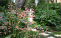 Giardino in Costa Azzurra