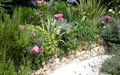 Giardino in Costa Azzurra