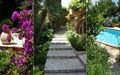 Giardino in Costa Azzurra