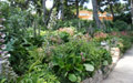 Giardino in Costa Azzurra