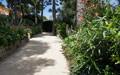 Giardino in Costa Azzurra