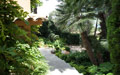 Giardino in Costa Azzurra
