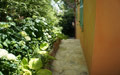 Giardino in Costa Azzurra