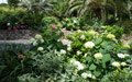Giardino in Costa Azzurra