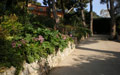 Giardino in Costa Azzurra