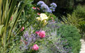 Giardino in Costa Azzurra