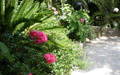 Giardino in Costa Azzurra