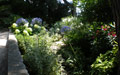 Giardino in Costa Azzurra