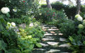 Giardino in Costa Azzurra